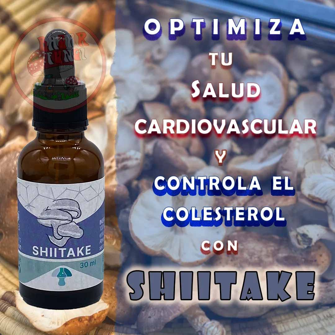 Sorpréndete al descubrir los beneficios del shiitake para tu salud